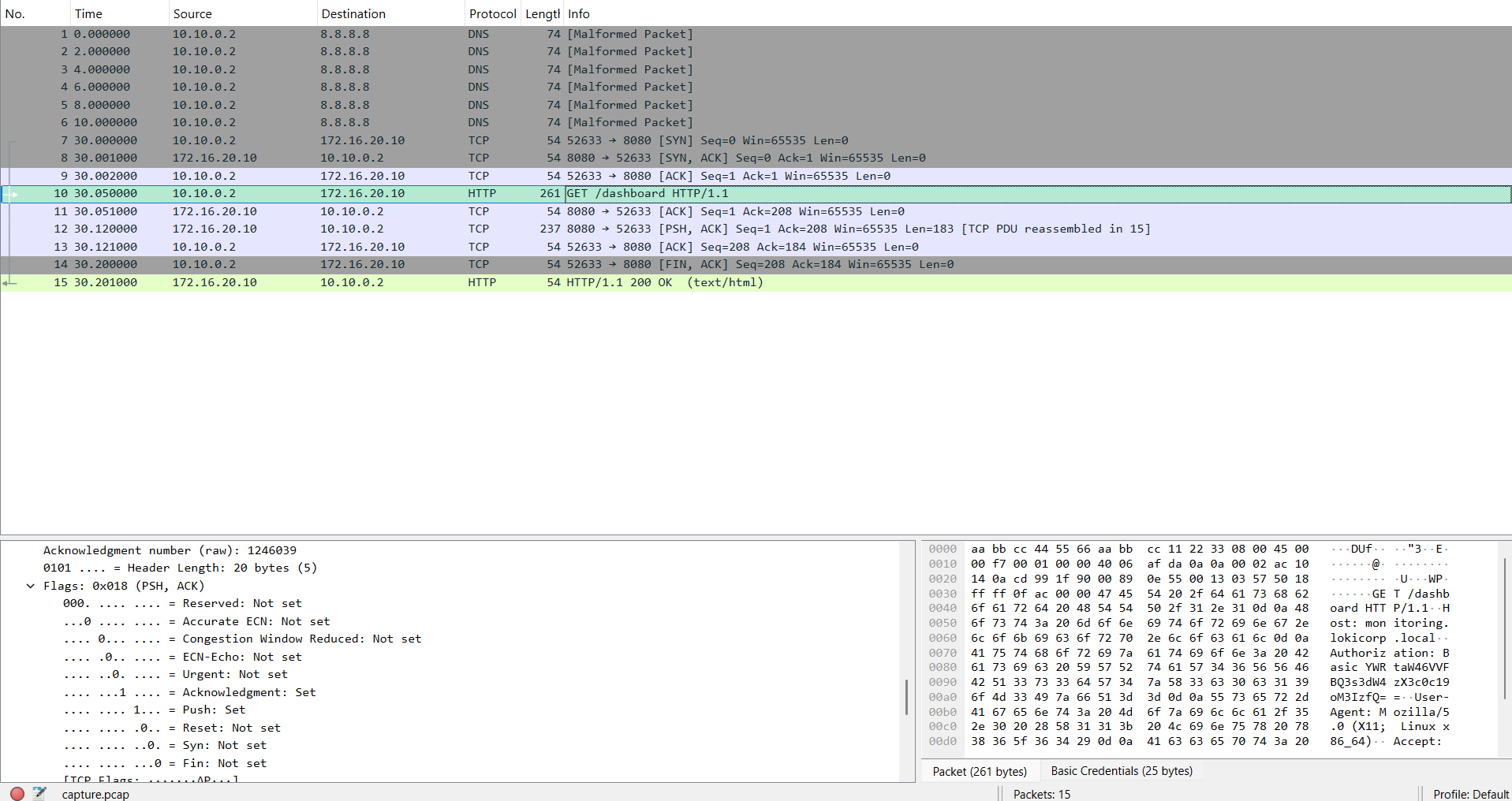 Capture Wireshark du challenge 1 montrant l'analyse des paquets mal formés
