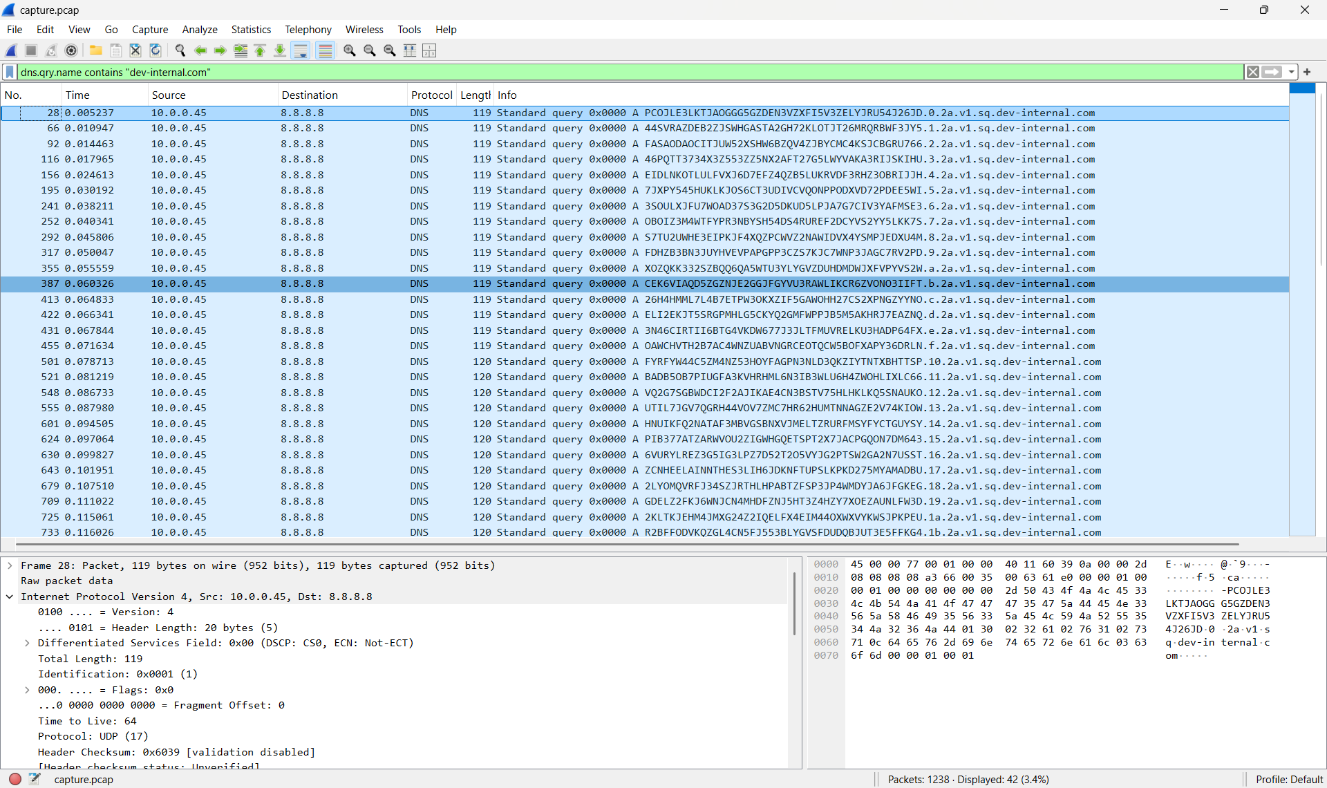 Filtrage dns.query.name dans Wireshark