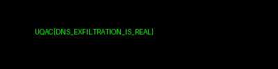 Image finale reconstruite au format PNG à partir du fichier binaire